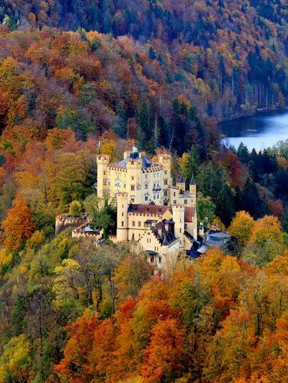 Hohenschwangau Castle surrounded by autumn foliage in Bavaria, Germany.