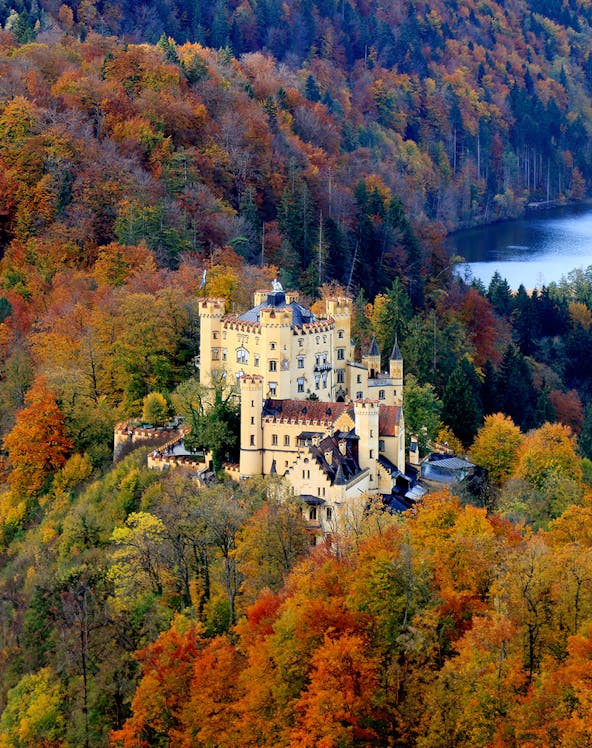 Hohenschwangau Castle surrounded by autumn foliage in Bavaria, Germany.