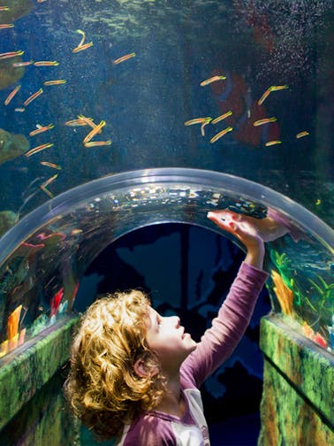 Lunar New Year Melbourne