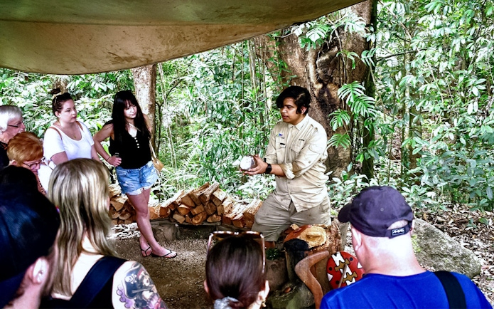 Guide explaining local flora to tourists on Cape Tribulation Day Tour.