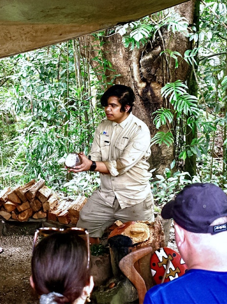 Guide explaining local flora to tourists on Cape Tribulation Day Tour.