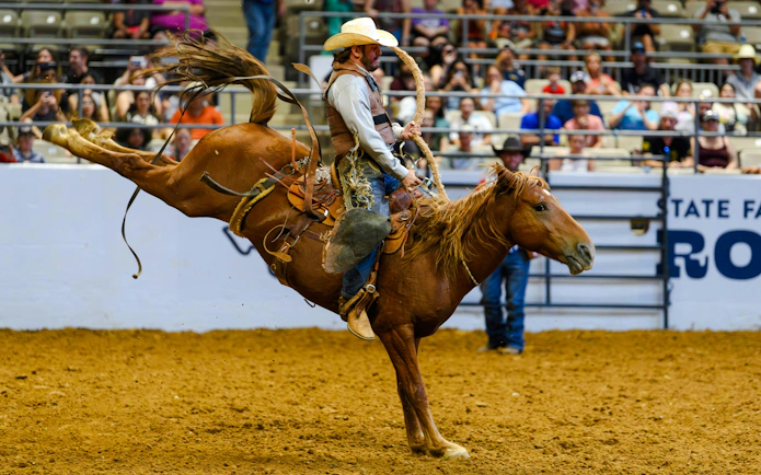 Rodeo rider on bucking horse at State Fair of Texas arena.