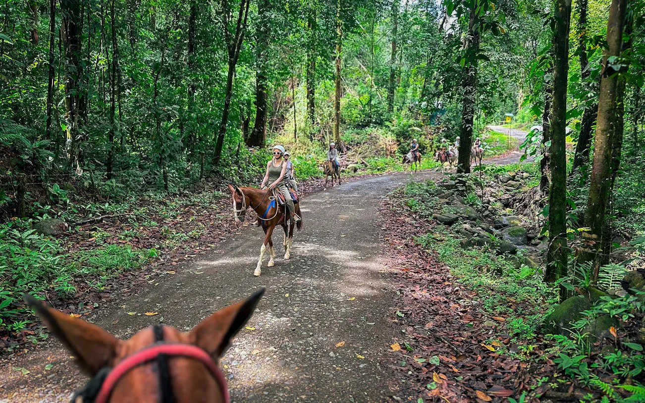 Horseback riders on a jungle trail in Manuel Antonio.