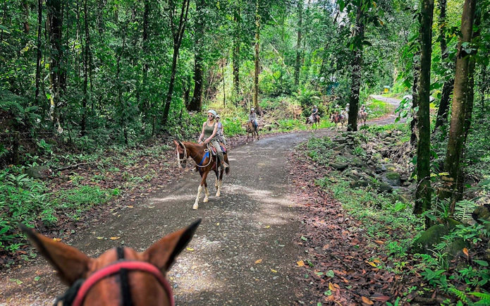 Horseback riders on a jungle trail in Manuel Antonio.