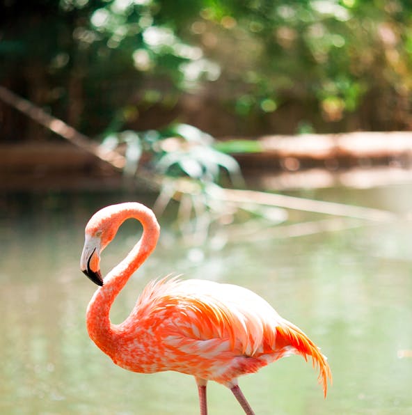 How to reach Barcelona Zoo: Location & directions