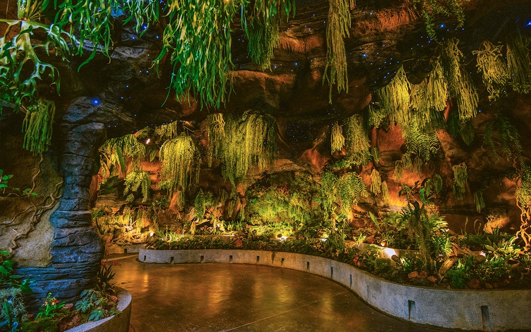 Floral Fantasy Singapore indoor garden with lush hanging plants and illuminated pathway.