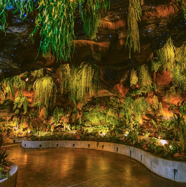 Gardens by the Bay light show: What you need to know