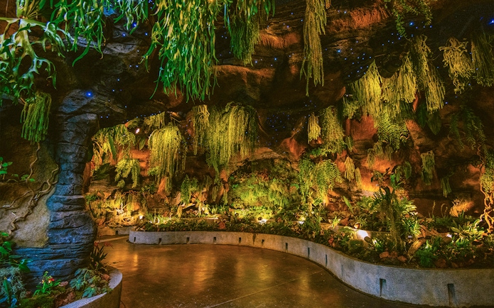 Floral Fantasy Singapore indoor garden with lush hanging plants and illuminated pathway.