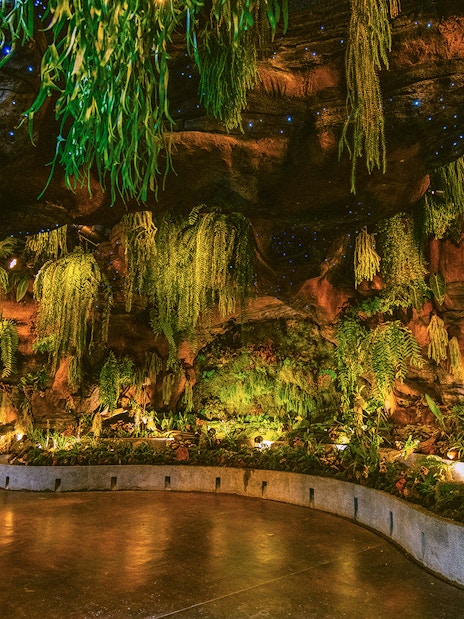 Floral Fantasy Singapore indoor garden with lush hanging plants and illuminated pathway.