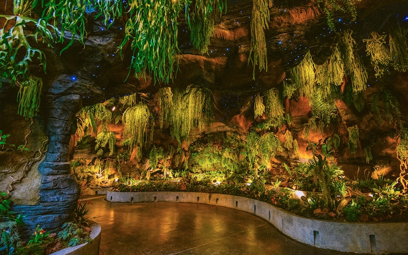 Floral Fantasy Singapore indoor garden with lush hanging plants and illuminated pathway.