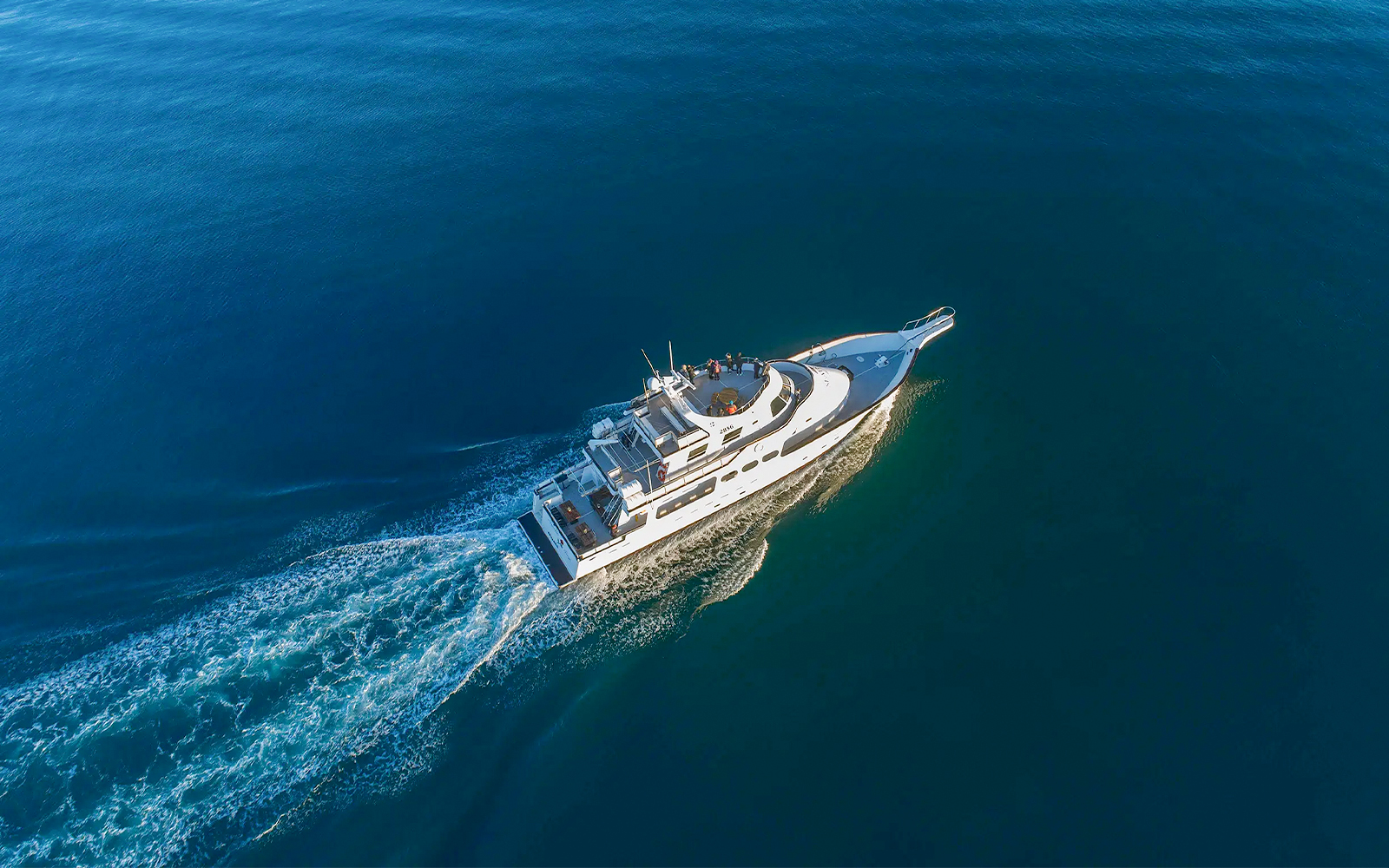 Reykjavik Northern Lights