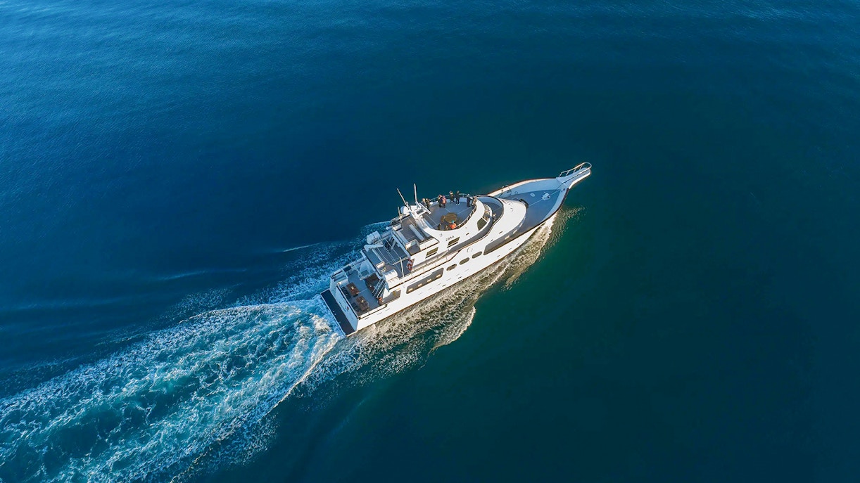 Reykjavik Northern Lights