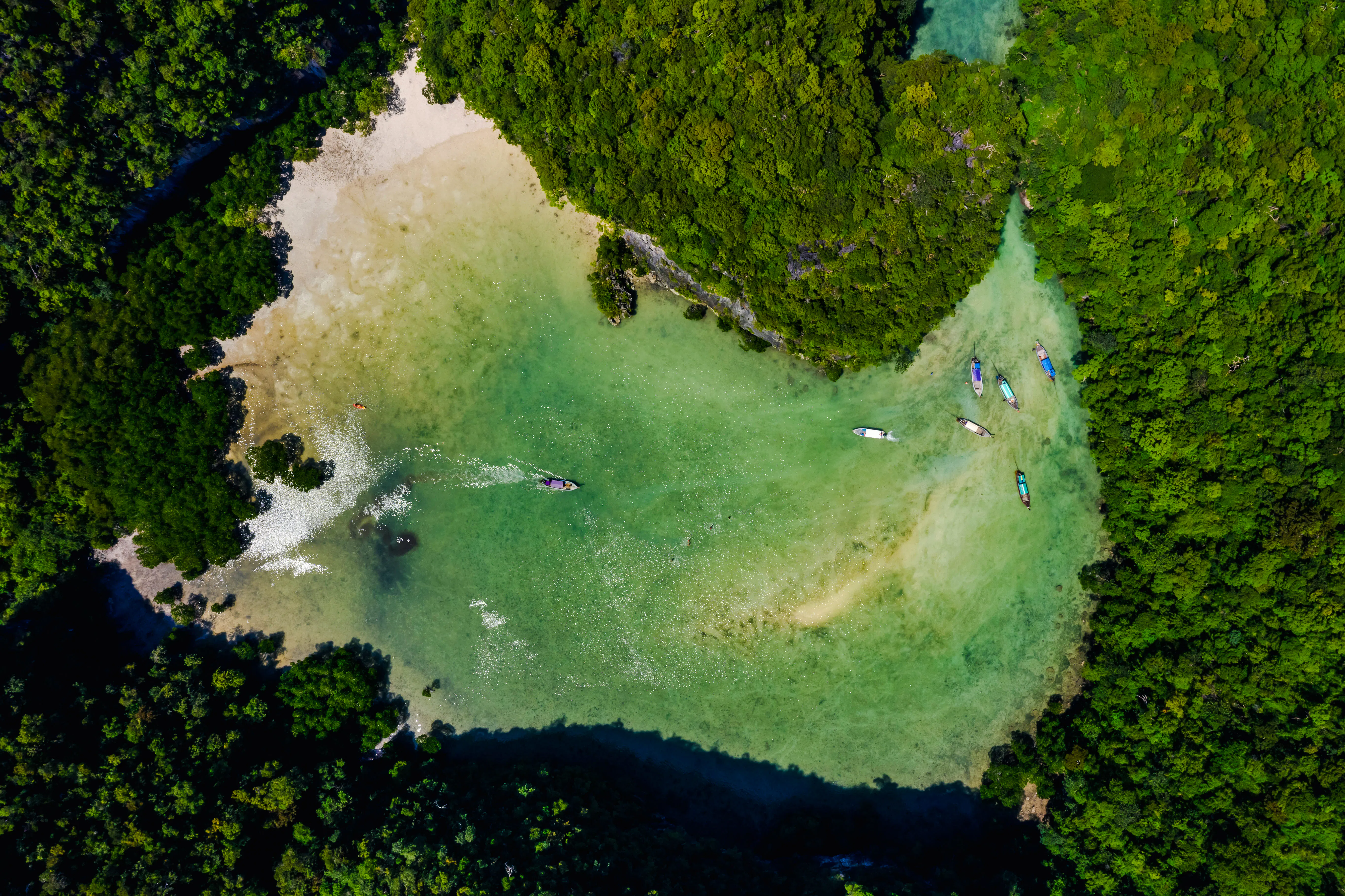 From Krabi: Hong Island-Hopping Tour with Lunch and Round-Trip Transfers Image 10