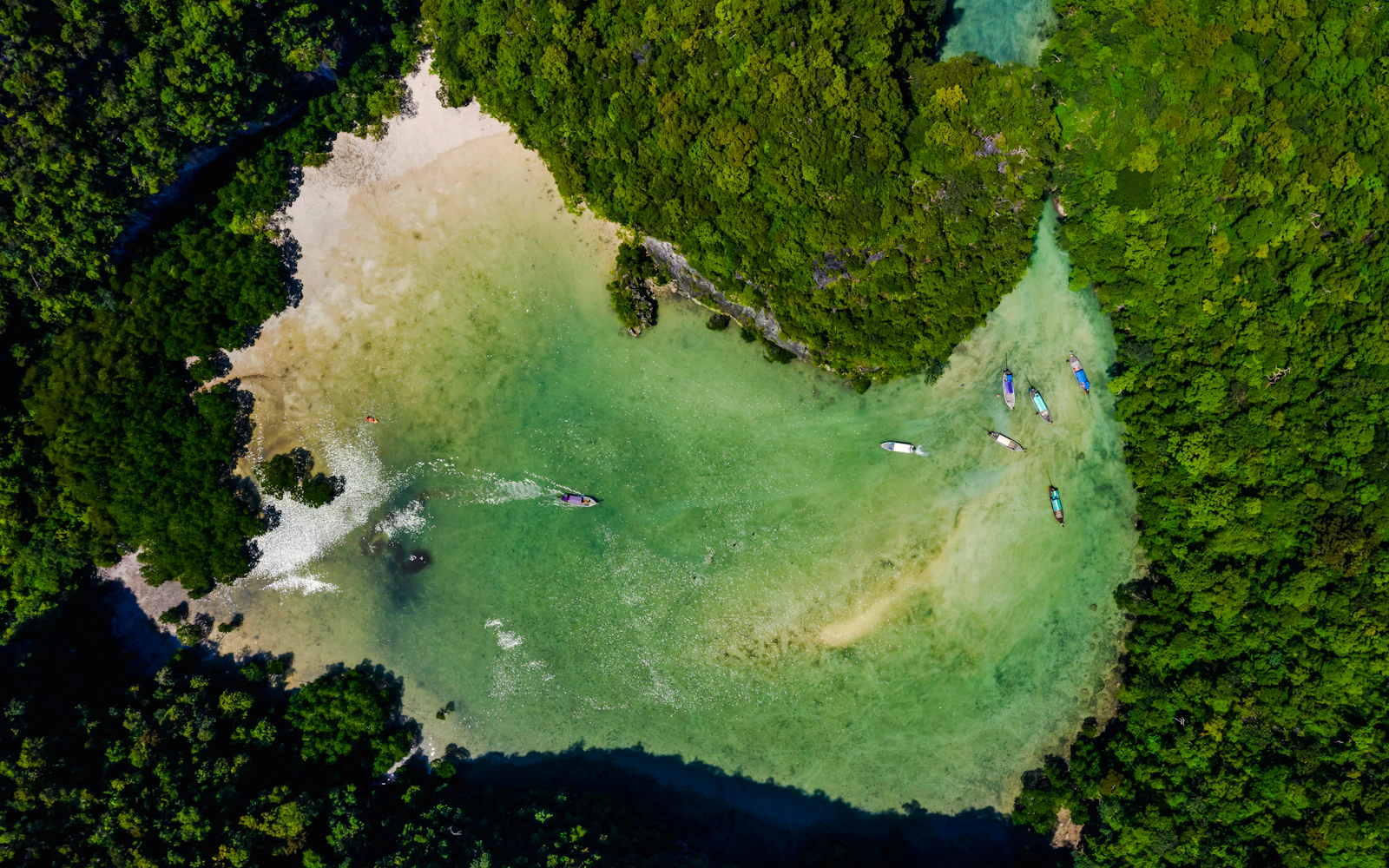 From Krabi: Hong Island-Hopping Tour with Lunch and Round-Trip Transfers Image 10