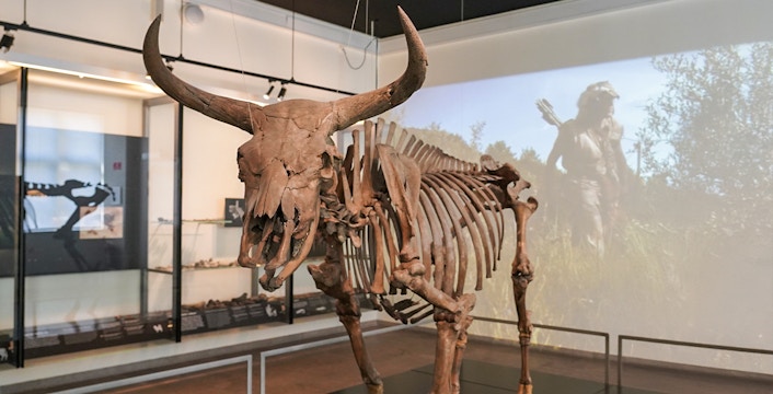 Entradas al Museo Nacional de Dinamarca