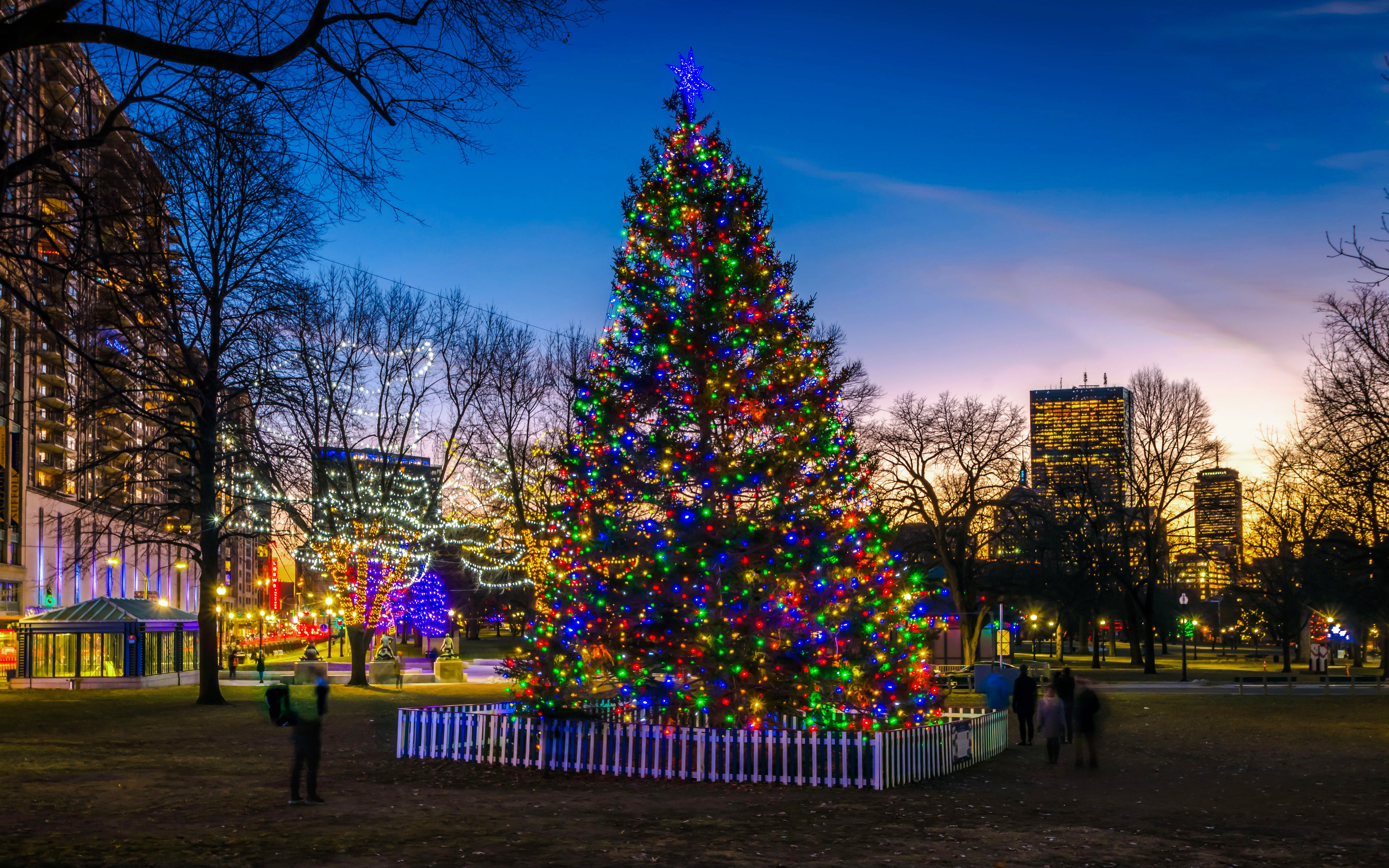 Boston Common Christmas tree lit with colorful lights at dusk, city skyline in background.