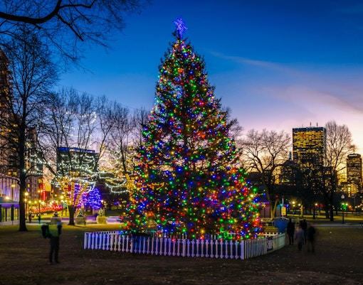 Boston Common Christmas tree lit with colorful lights at dusk, city skyline in background.
