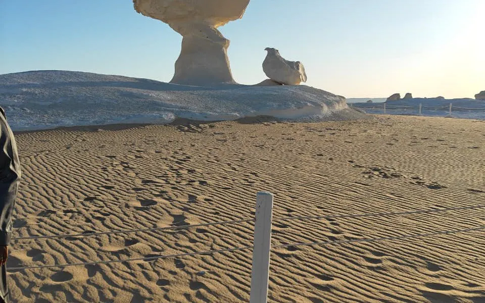 Unique rock formations in Egypt's Black and White Desert during a private safari from Cairo.