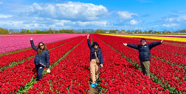 amsterdam tulip fields