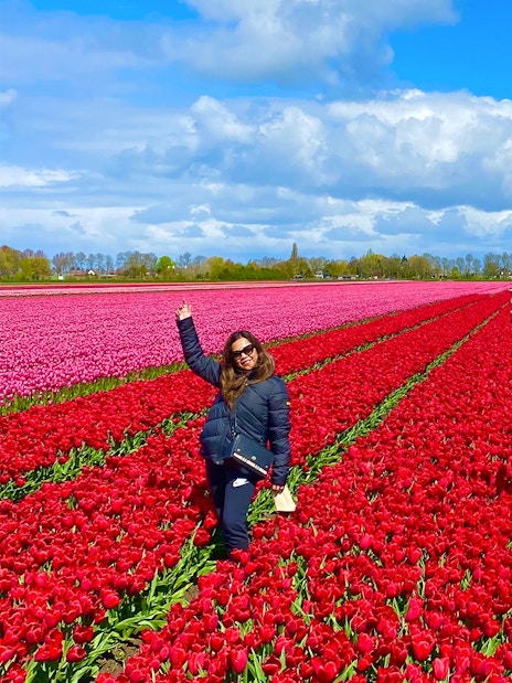 Visitors enjoying vibrant tulip fields on a small group tour from Amsterdam.