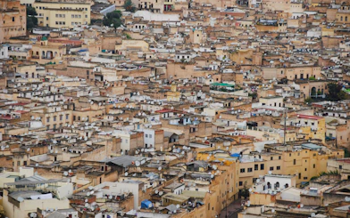 Fez Medina and Royal Palace Walking Tour