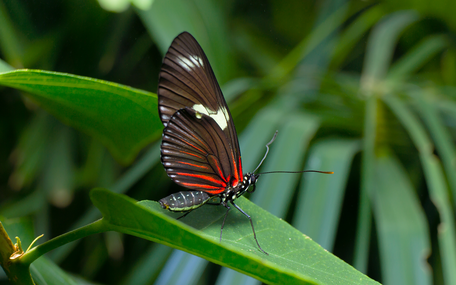 Insectarium - Schonbrunn Zoo