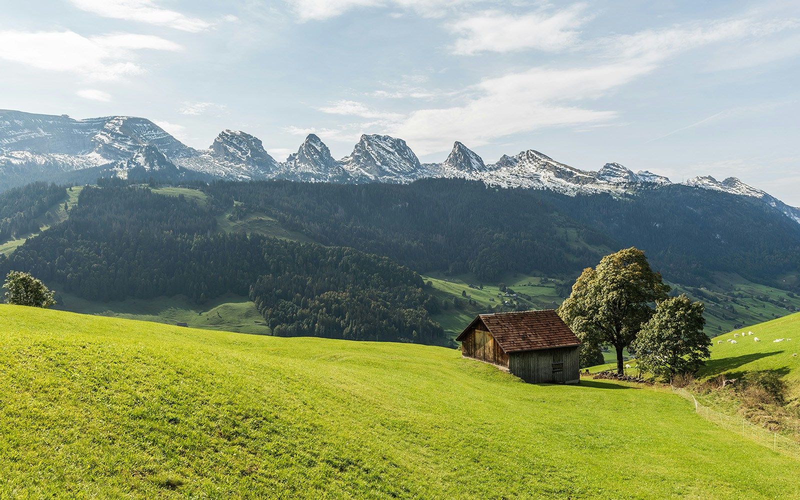 Landscape of a green village with a house in Swiss