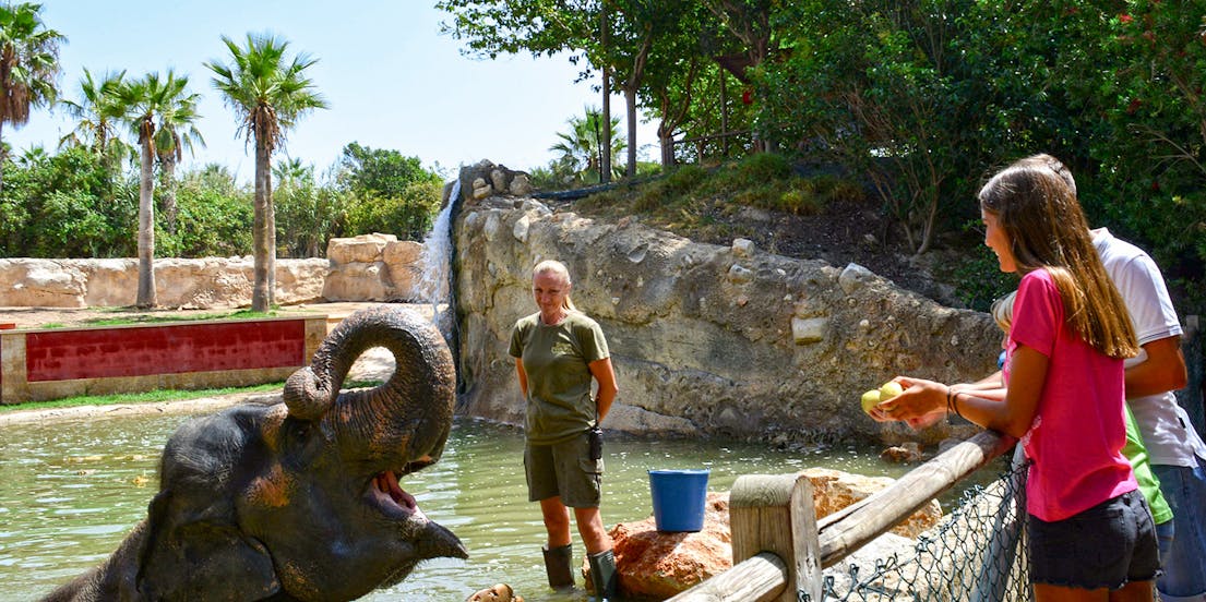 Terra Natura Benidorm