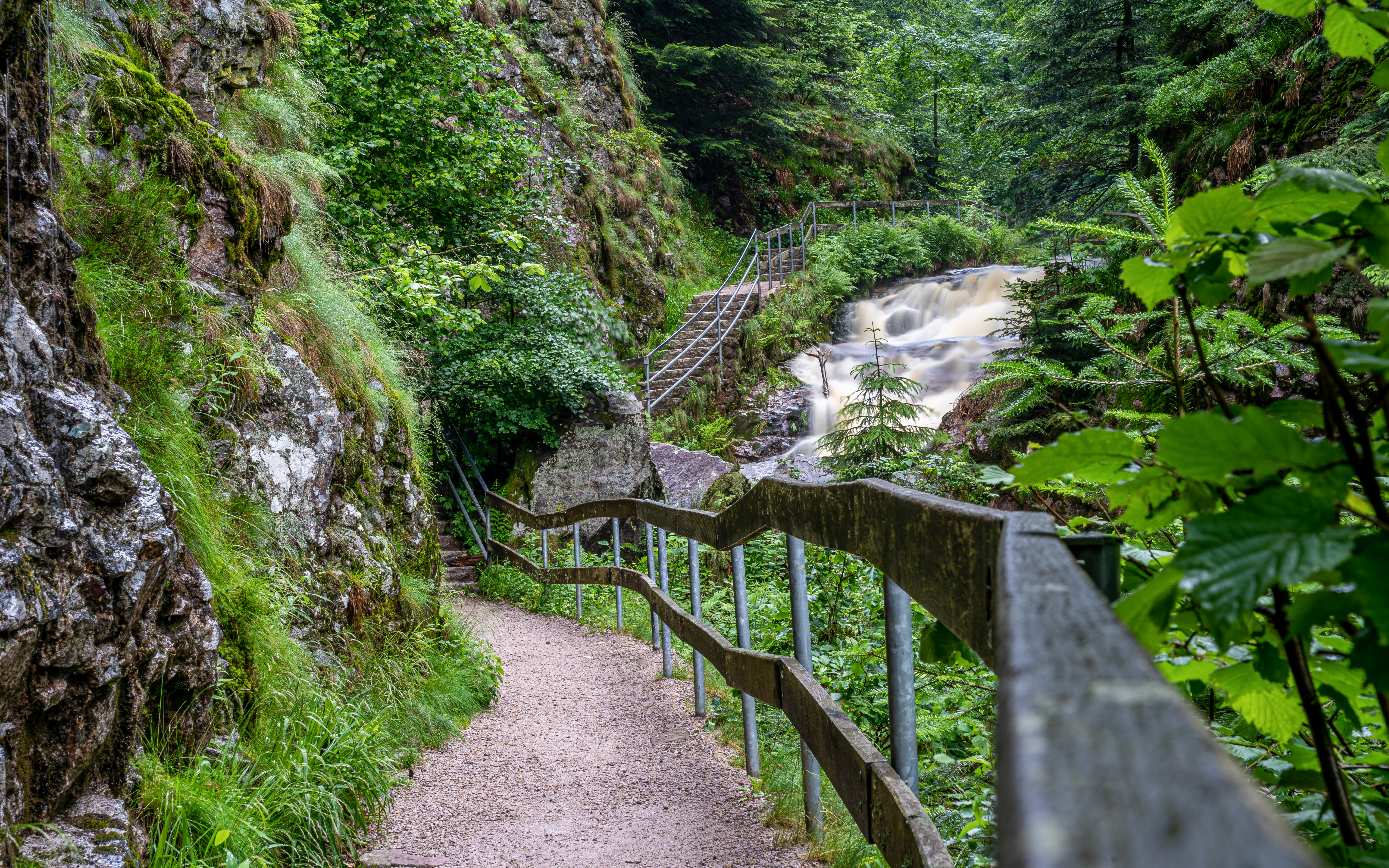 Trail along a waterfall in Black Forest, Germany, surrounded by lush greenery.