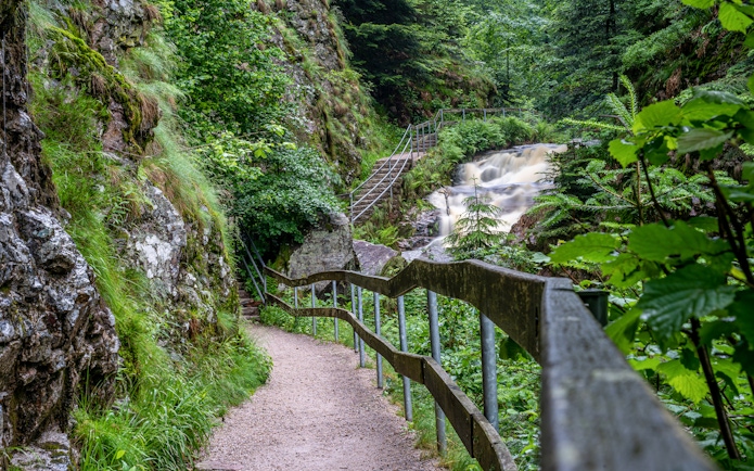 Trail along a waterfall in Black Forest, Germany, surrounded by lush greenery.