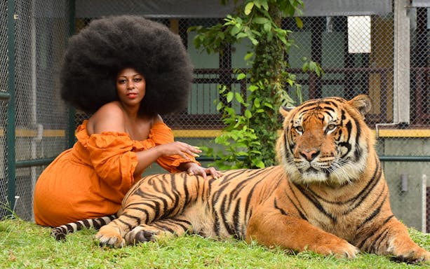24892 - Phuket - Tiger Kingdom Experience with Private Transfer 4 hrs. - 06