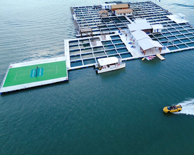 Penang: Forest Island Catamaran Cruise with Buffet Dinner and Activities (Product 55552)