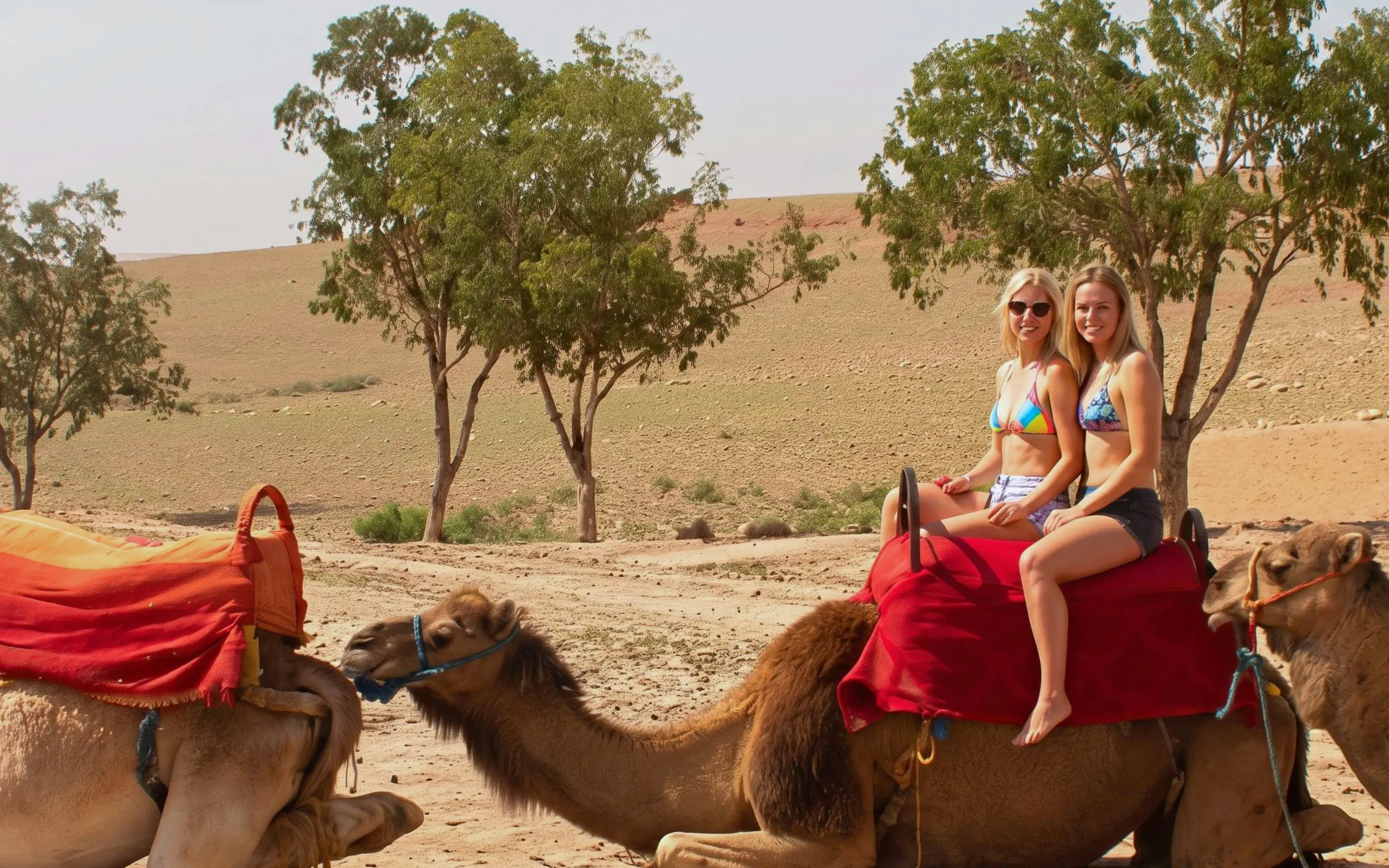 Camel ride in Sinai Desert, Sharm El Sheikh, with two people seated, surrounded by desert landscape.