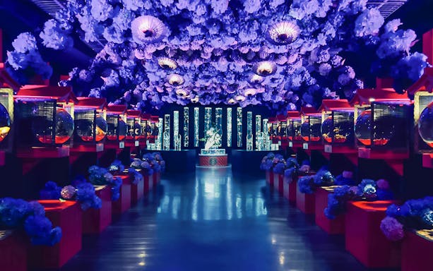 Wide view of illuminated Art Aquarium Museum GINZA with vibrant displays and floral ceiling.