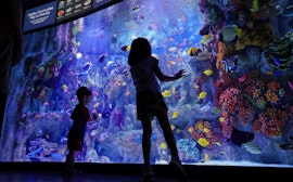 New England Aquarium