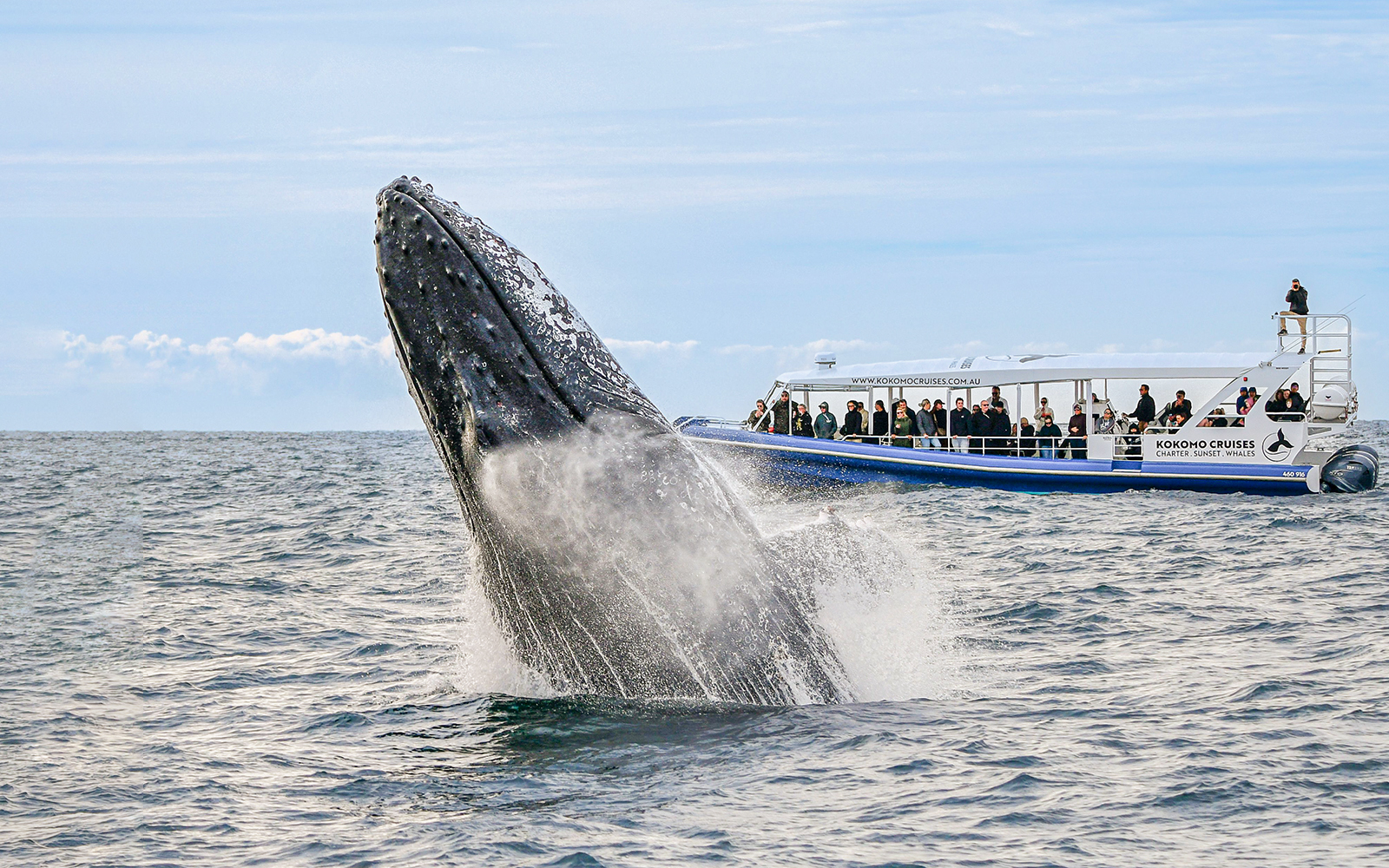 Things to do in Gold Coast