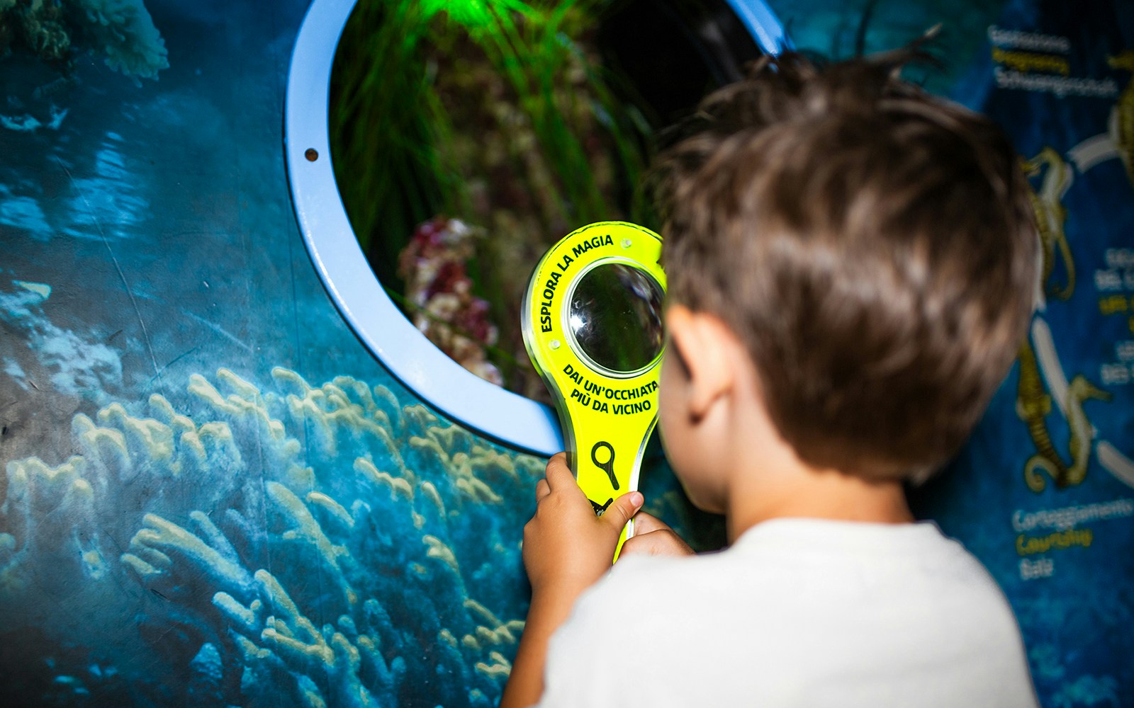 Children exploring marine life at the interactive educational zone in Gardaland Sea Life