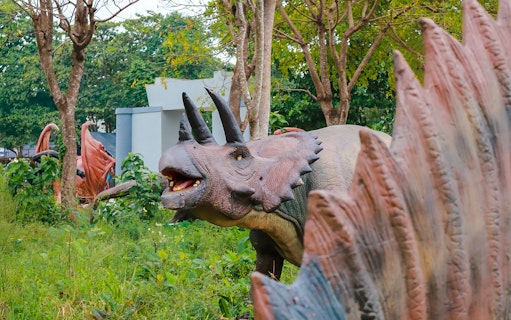 Life-size Triceratops and Stegosaurus replicas in a prehistoric-themed park exhibit.