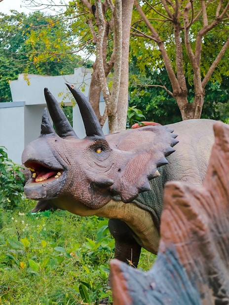 Life-size Triceratops and Stegosaurus replicas in a prehistoric-themed park exhibit.