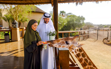 Visitors feeding a giraffe at Al Ain Zoo.
