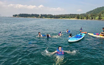 People swimming and paddleboarding during Son Tra Peninsula cruise, Da Nang.
