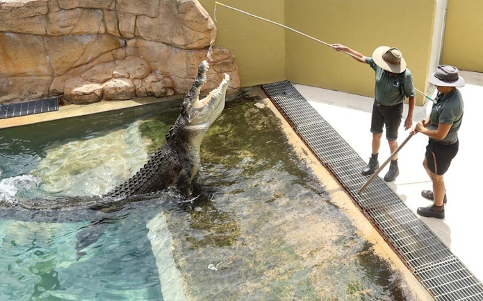 Crocodile feeding demonstration at Crocosaurus Cove, Darwin.