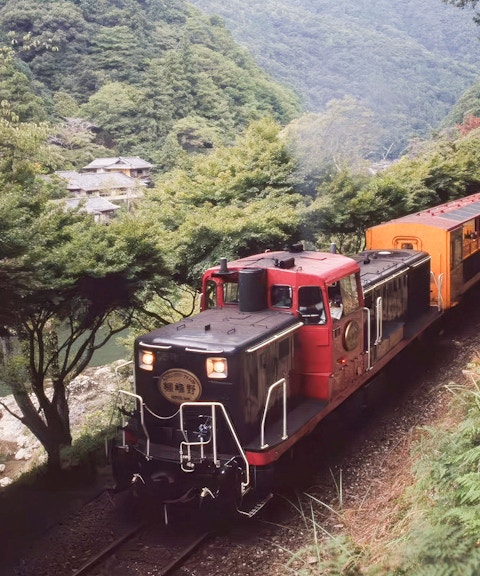 Sagano Romantic Train passing through lush greenery in Kyoto, Japan.