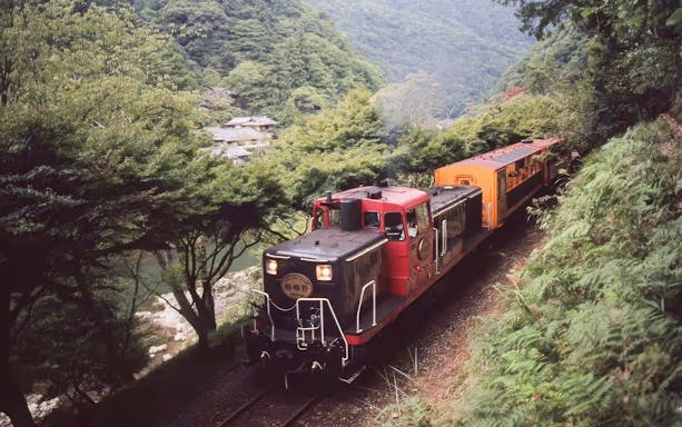 Sagano Romantic Train passing through lush greenery in Kyoto, Japan.