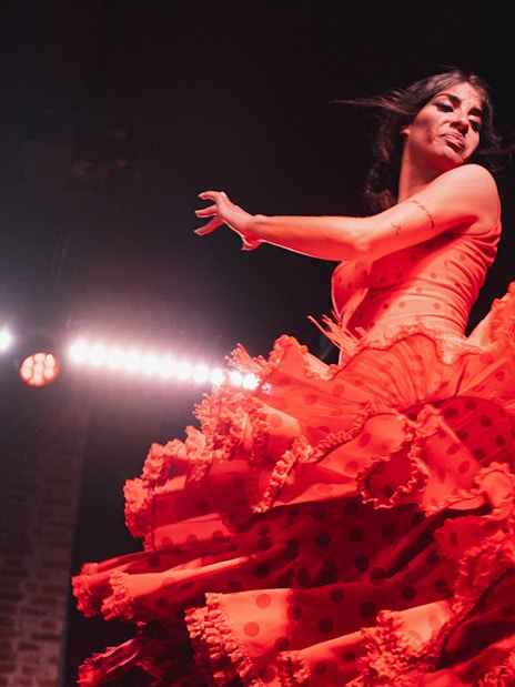 Flamenco dancer performing at Flamenco De Leones Show in vibrant red dress.
