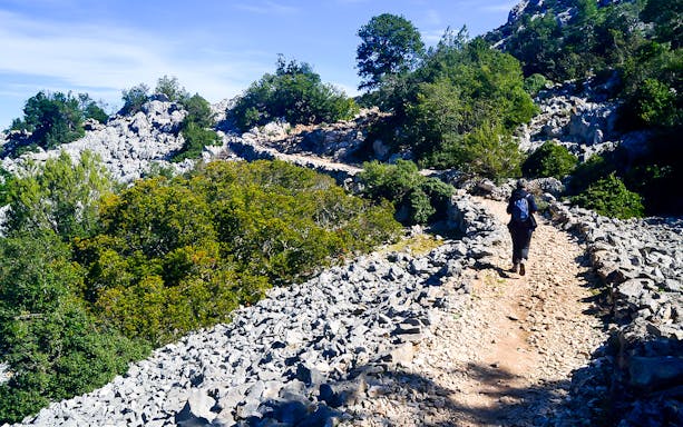 Trekker on rocky path surrounded by greenery on Cala Goloritzè guided tour, Sardinia.