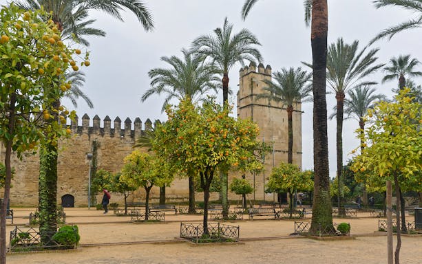 Courtyard with orange trees and Alcázar walls in Córdoba's Jewish Quarter.