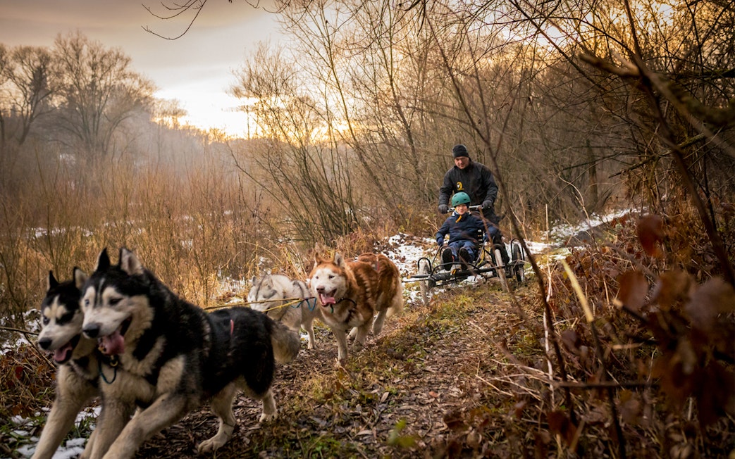 Dog sledding tour in Tatra Mountains near Krakow with participants on a sled.