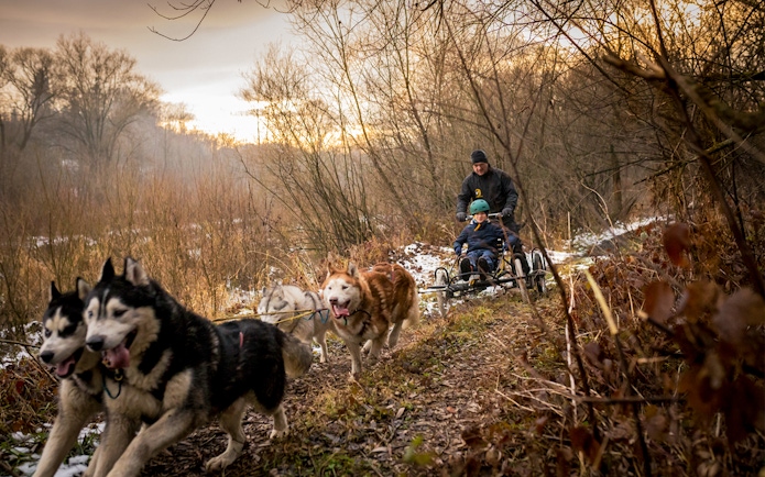 Dog sledding tour in Tatra Mountains near Krakow with participants on a sled.