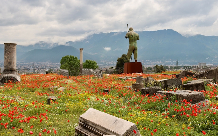 Ancient ruins and statue in a field of poppies, Pompeii with mountains in the background.